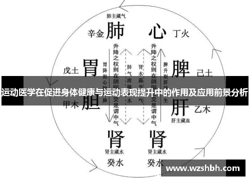 运动医学在促进身体健康与运动表现提升中的作用及应用前景分析